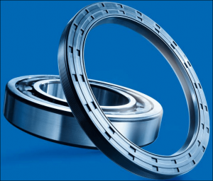 SKF-RWDR-NBR-FKM